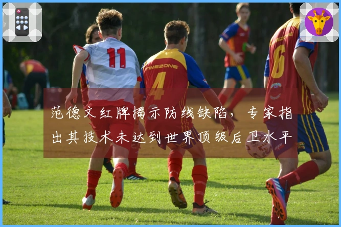 范德文红牌揭示防线缺陷，专家指出其技术未达到世界顶级后卫水平