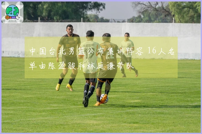 中国台北男篮公布集训阵容 16人名单由陈盈骏和林庭谦带队