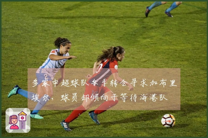 多家中超球队冬季转会寻求加布里埃尔，球员却倾向于等待海港队