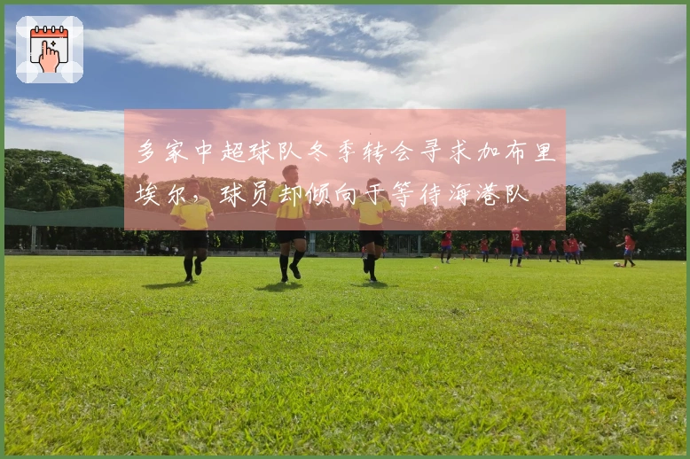 多家中超球队冬季转会寻求加布里埃尔,球员却倾向于等待海港队